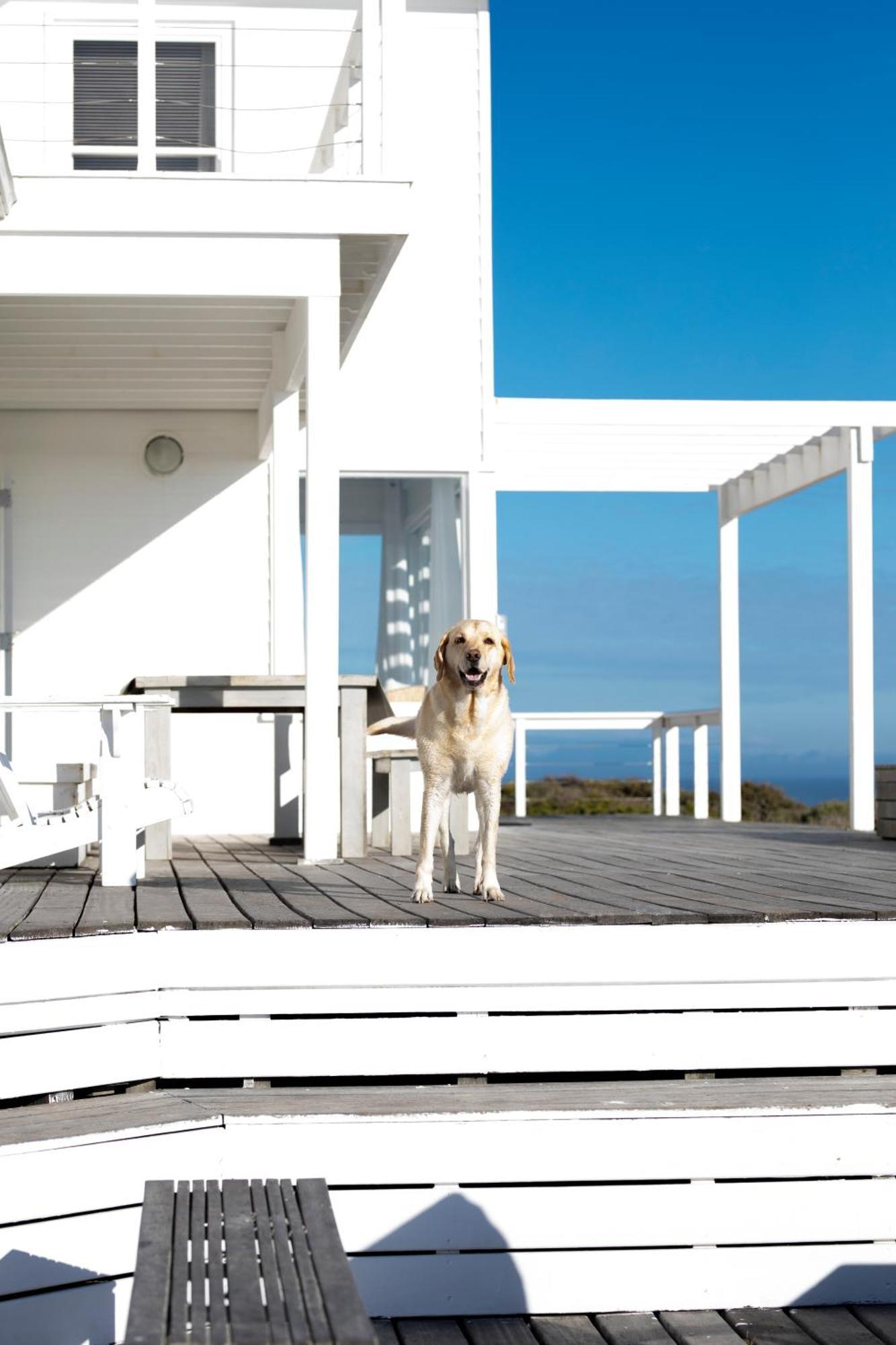 Pearl Bay Beach Home Yzerfontein Exterior photo