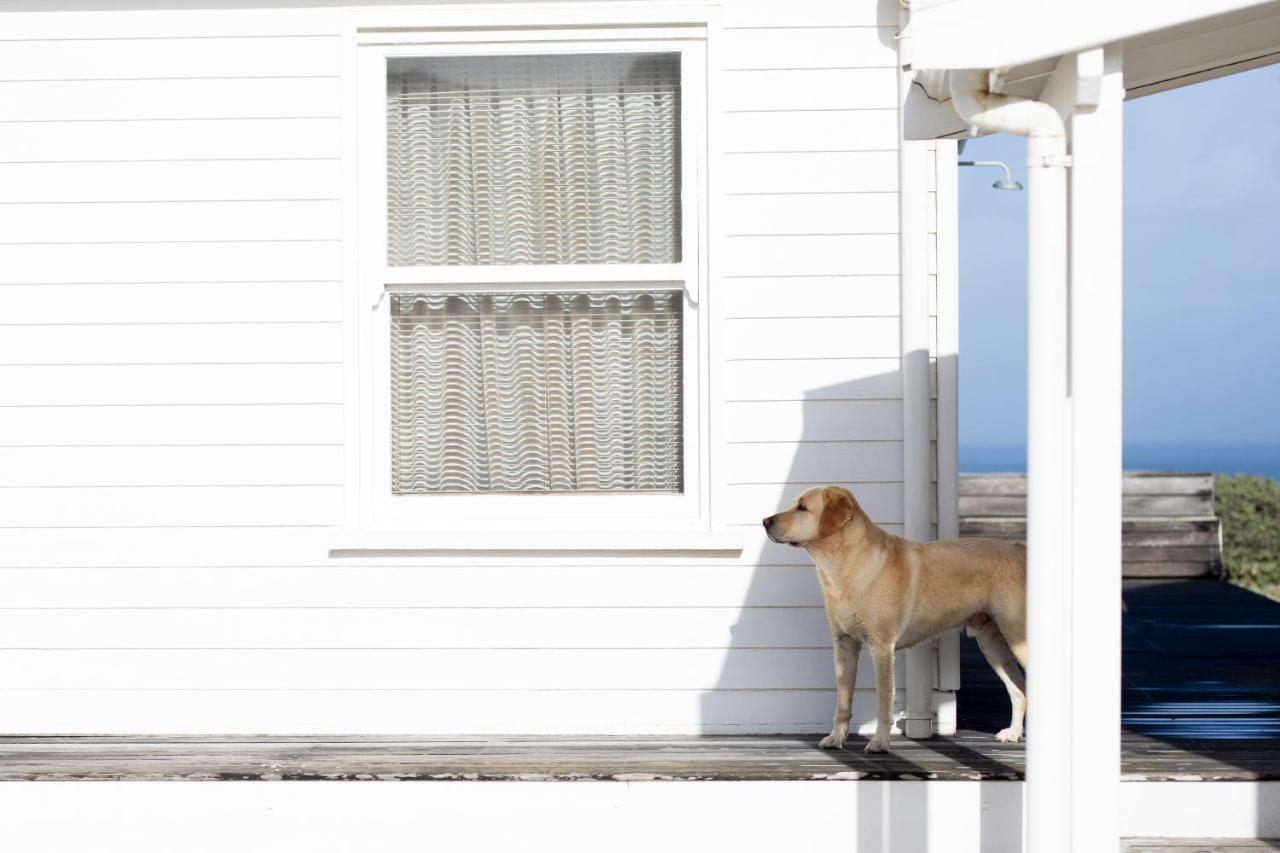 Pearl Bay Beach Home Yzerfontein Exterior photo